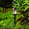 Vaxcel Westmont Low-Voltage Black Outdoor Landscape Path Light LED Clear Glass T0756 - alternate 1